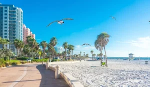 Master Safe Driving with Auto Safety Driving School in Clearwater, FL